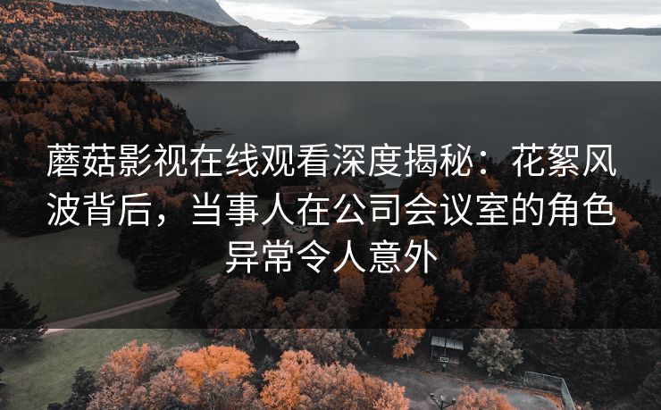 蘑菇影视在线观看深度揭秘:花絮风波背后,当事人在公司会议室的角色异常令人意外 蘑菇影视在线观看深度揭秘:花絮风波背后,当事人在公司会议室的角色异常令人意外