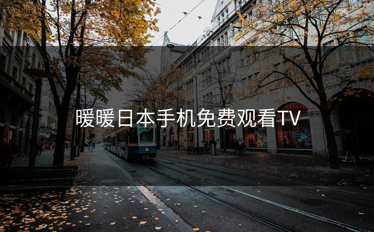 暖暖日本手机免费观看TV