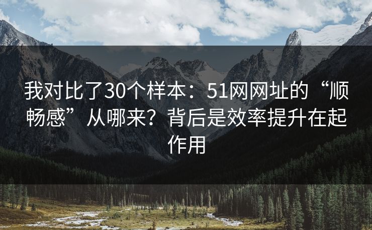 我对比了30个样本：51网网址的“顺畅感”从哪来？背后是效率提升在起作用